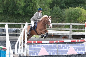 Class 6 - Fences not above 2'9